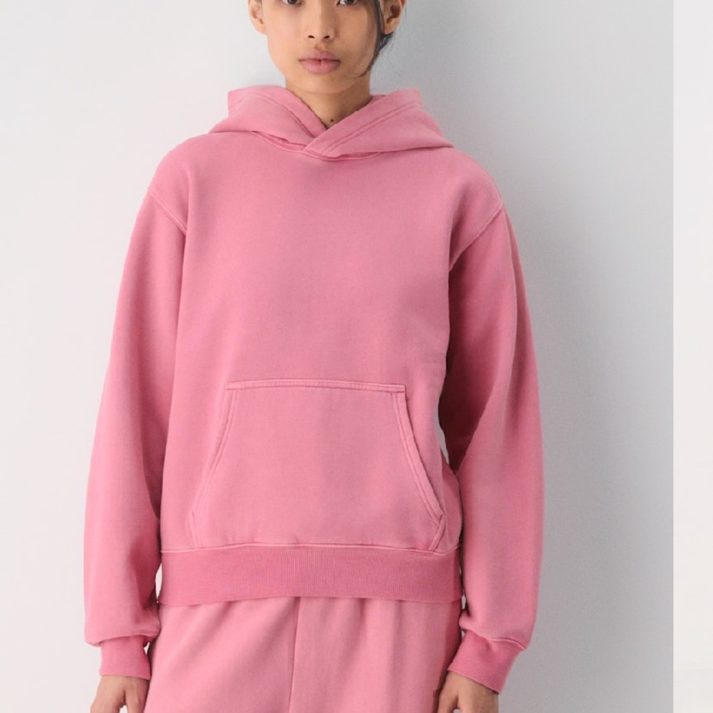 Aritzia Oversized Dusty Rose Comfy Hoodie- NWT - Picture 4 of 14